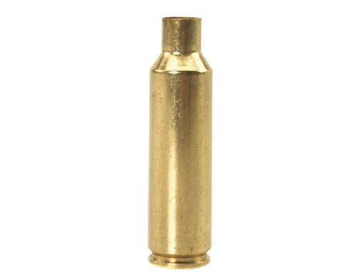 300 wsm brass